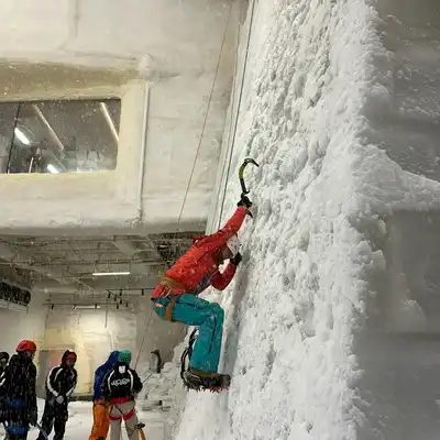 石致欣